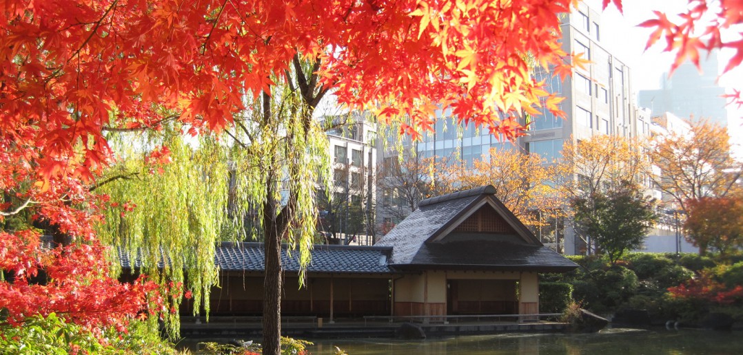 hinokicho park 檜町公園　(article by amuzen)