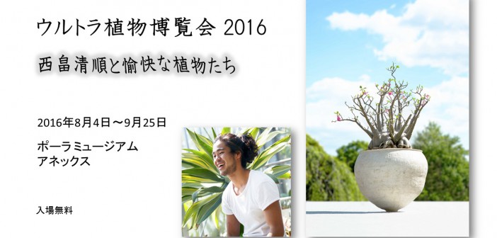 「ウルトラ植物博覧会2016」西畠清順と愉快な植物たち (amuzen article)