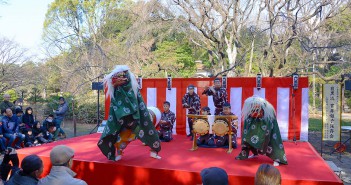 新春を六義園でお祝いしましょう 2017 (amuzen article)