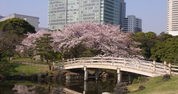 浜離宮恩賜庭園　華やかな桜と、春の開園時間延長2017（amuzen article）