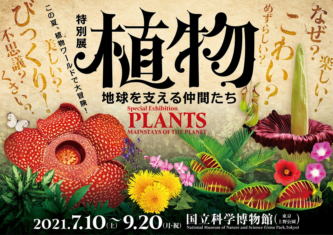 特別展「植物」　国立科学博物館